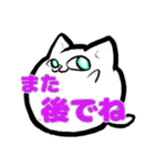 毎日使える白にゃんこ（個別スタンプ：37）