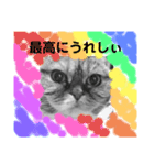 この顔にピンときたら（個別スタンプ：6）