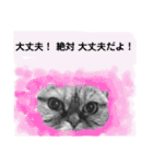 この顔にピンときたら（個別スタンプ：7）