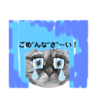 この顔にピンときたら（個別スタンプ：9）