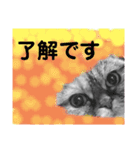 この顔にピンときたら（個別スタンプ：12）