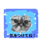 この顔にピンときたら（個別スタンプ：14）