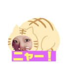 あーね の あやか（個別スタンプ：2）