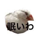 ジルちゃんの憎めないスタンプ2（個別スタンプ：1）