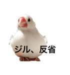 ジルちゃんの憎めないスタンプ2（個別スタンプ：3）