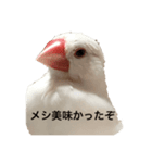 ジルちゃんの憎めないスタンプ2（個別スタンプ：4）
