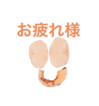 おらがみーのよく使う言葉全部入れスタンプ（個別スタンプ：8）