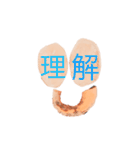 おらがみーのよく使う言葉全部入れスタンプ（個別スタンプ：19）