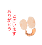 おらがみーのよく使う言葉全部入れスタンプ（個別スタンプ：22）