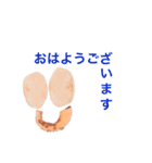 おらがみーのよく使う言葉全部入れスタンプ（個別スタンプ：33）