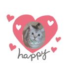 猫のリッキー（個別スタンプ：2）