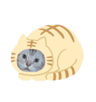 猫のリッキー（個別スタンプ：8）