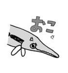 お魚たちのスタンプ（個別スタンプ：13）