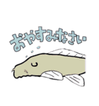 お魚たちのスタンプ（個別スタンプ：18）