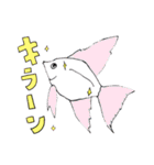 お魚たちのスタンプ（個別スタンプ：22）