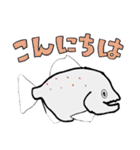 お魚たちのスタンプ（個別スタンプ：25）
