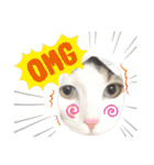 ネコのムタ(40個)（個別スタンプ：21）