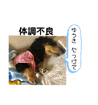 べるたんがゆうきさんへ送る（個別スタンプ：11）