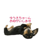 べるたんがゆうきさんへ送る（個別スタンプ：13）
