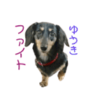 べるたんがゆうきさんへ送る（個別スタンプ：19）