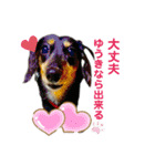 べるたんがゆうきさんへ送る（個別スタンプ：20）