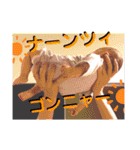さらなおあらた（個別スタンプ：24）