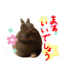 猫のチャーちゃんとウサギのプーチン（個別スタンプ：9）