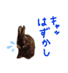 猫のチャーちゃんとウサギのプーチン（個別スタンプ：10）