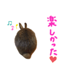 猫のチャーちゃんとウサギのプーチン（個別スタンプ：11）