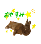 猫のチャーちゃんとウサギのプーチン（個別スタンプ：15）