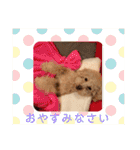 テディ日記（個別スタンプ：8）