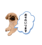 ポコ、ときどき小次郎のスタンプ4（個別スタンプ：6）