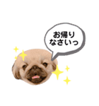 ポコ、ときどき小次郎のスタンプ4（個別スタンプ：7）
