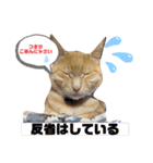 シナモン。日常（個別スタンプ：6）