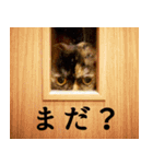 「うに」の顔芸な毎日（個別スタンプ：6）