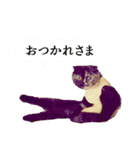 「うに」の顔芸な毎日（個別スタンプ：15）