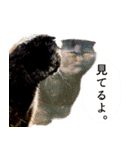 「うに」の顔芸な毎日（個別スタンプ：24）