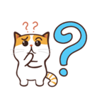 かわいい 猫 ！（個別スタンプ：17）