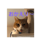 チョコラテスタンプ（個別スタンプ：11）