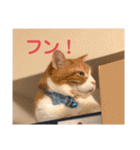 チョコラテスタンプ（個別スタンプ：19）