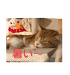 チョコラテスタンプ（個別スタンプ：28）