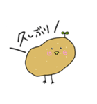 ぴよいも（個別スタンプ：40）