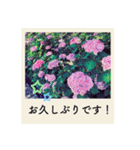 ポラロイド風 花と景色の写真スタンプ（個別スタンプ：1）