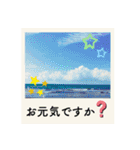ポラロイド風 花と景色の写真スタンプ（個別スタンプ：3）
