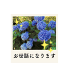 ポラロイド風 花と景色の写真スタンプ（個別スタンプ：4）