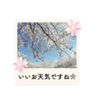 ポラロイド風 花と景色の写真スタンプ（個別スタンプ：5）