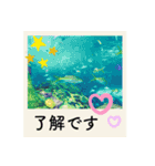 ポラロイド風 花と景色の写真スタンプ（個別スタンプ：7）