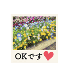 ポラロイド風 花と景色の写真スタンプ（個別スタンプ：8）