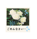 ポラロイド風 花と景色の写真スタンプ（個別スタンプ：13）