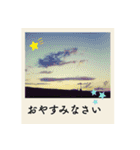 ポラロイド風 花と景色の写真スタンプ（個別スタンプ：15）